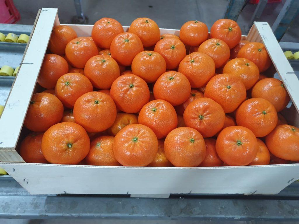 Nadorcot-box-horizontal