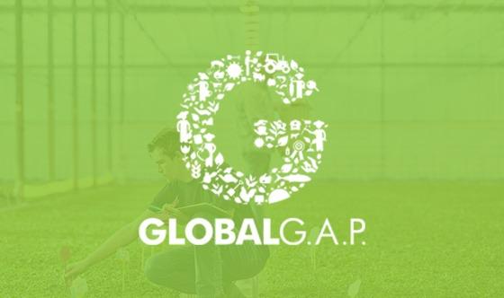 global_gap